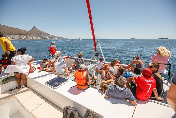1- Hour Catamaran Cruise Cape Town - Marine Life Sightings