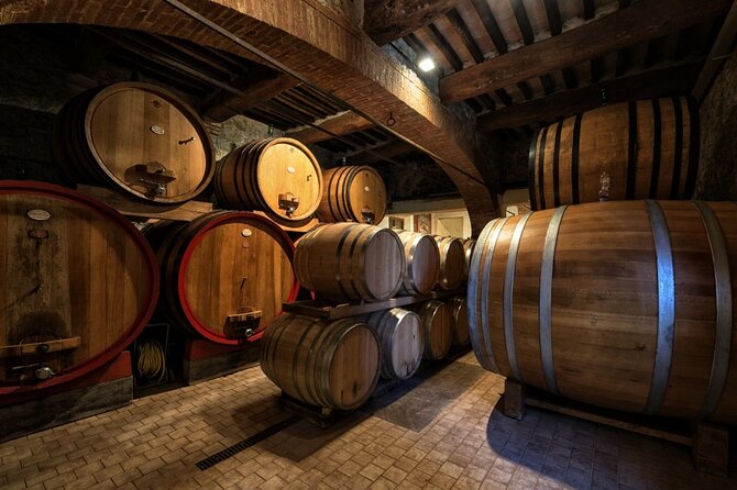 1-Hour Experience With Brunello. Visit to the Vineyard and Cellar - Accessibility and Participation