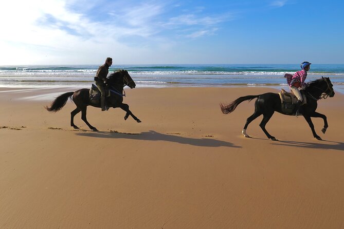 1 Hour Horse Ride on the Beach of Essaouira - Booking Information