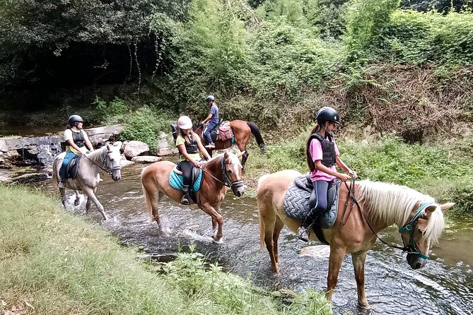 1 Hour Horseback Ride in Valgraziosa Review - Booking and Pricing