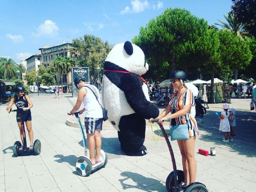 1 Hour Segway Tour in Palma De Mallorca - Customer Reviews