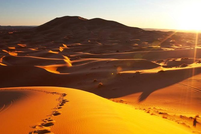 1 Night Camel Trekking Tour in Merzouga Desert Camp - Booking and Pricing