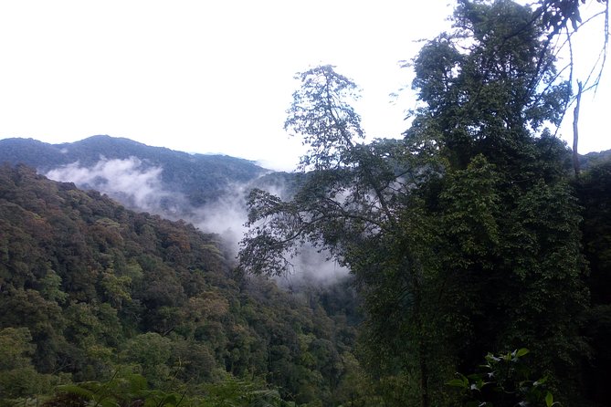 10 Days Uganda Gorilla & Chimpanzee Trekking Safari - Navigating Safari Logistics
