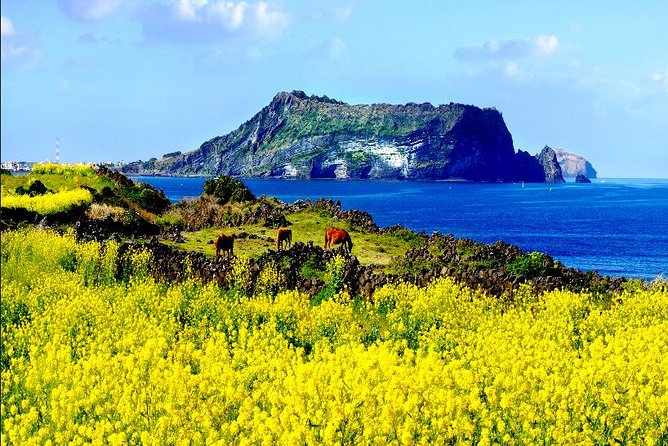 10day Small Group Discover Korea Tour : History, Food and Culture - Culinary Delights