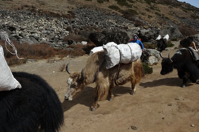 13 Days Everest Base Camp Trek - Cancellation Policy