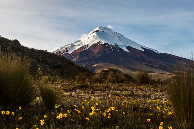 17-DAY Ecuador and Galapagos Islands Hidden Treasure With Boutique Style Hotels - Cultural Immersion in Mainland Ecuador