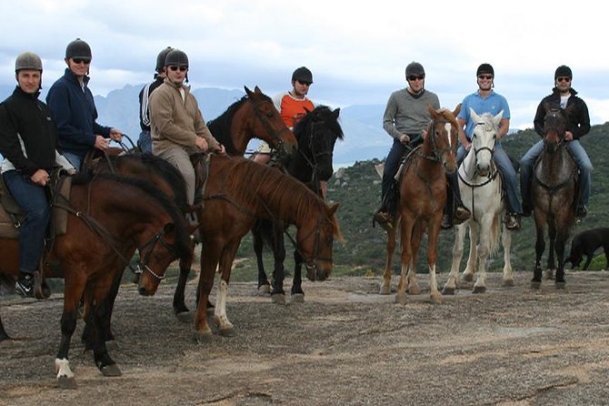 1h30m – Horse Trail - Testimonials and Reviews