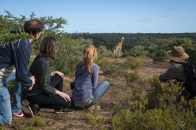 2 Day Addo Elephant Park Safari - Booking and Pricing