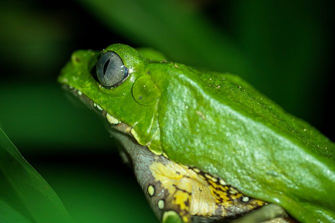 2-Day Camping Tour to Pacaya-Samiria National Park From Iquitos - Frequently Asked Questions