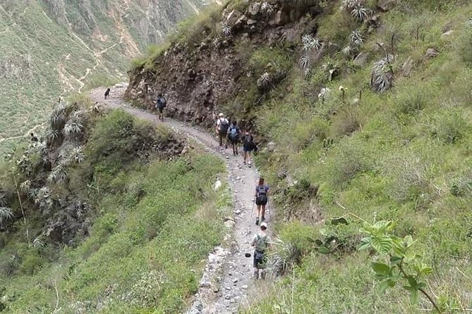 2-Day Custom Colca Canyon Trek From Arequipa - Inclusions and Important Information