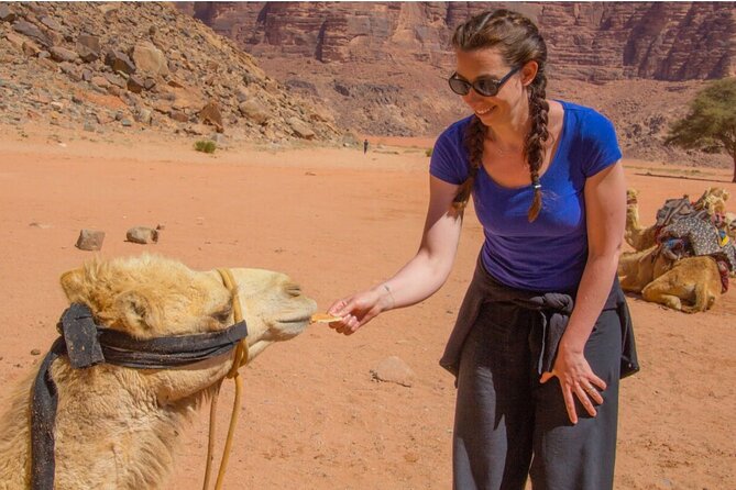 2 Day Private Tour From Amman to Petra_ Wadi Rum_ Aqaba Dead Sea - Inclusions and Exclusions
