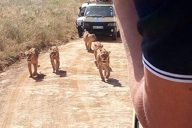 2 Days Maasai Mara National Reserve Safari From Nairobi - Customization Options