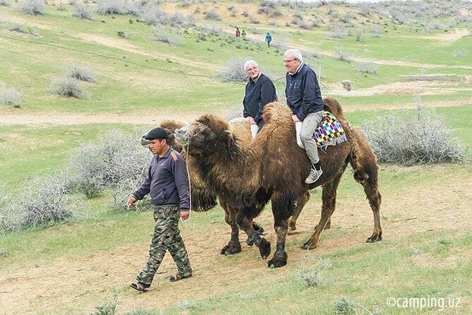 2 Days of Tour in Yurt Camp and Aydarkul - Booking and Accessibility Details