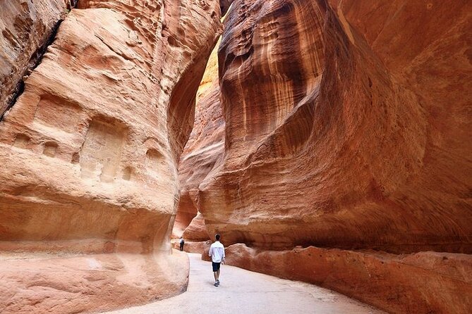 2 Days Private Tour in Jordan: Petra, Wadi Rum Camping & More From Amman - Guest Experiences and Feedback