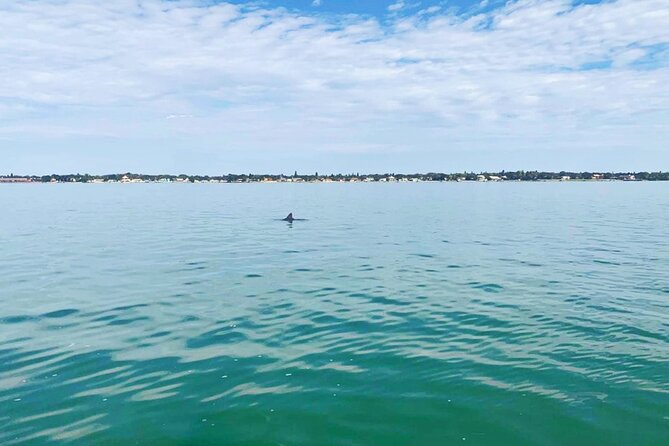 2-Hour Dolphin Watching Tour in Florida - Booking and Cancellation