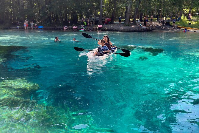 2 Hour Glass Bottom Guided Kayak Eco Tour in Gilchrist Blue - Booking and Pricing Information