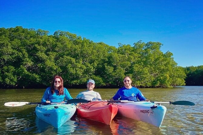 2 Hour Guided Kayak Tour in Boca Ciega Bay - St. Pete - Archies Island Adventure