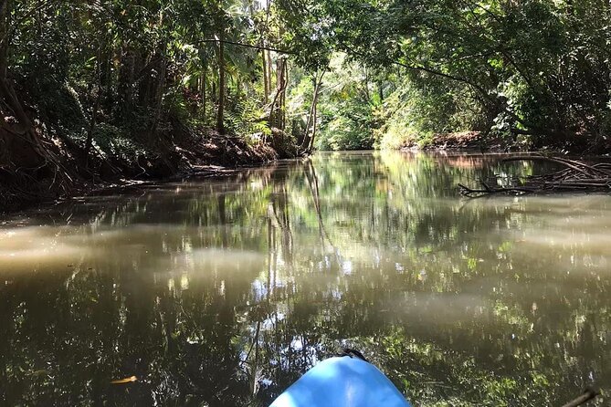 2-Hour Kayak Tour in Quepos - Customer Reviews