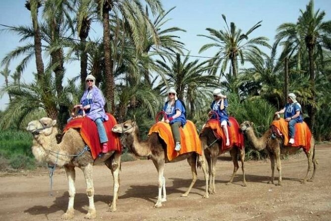 2-Hour Quad Bike & Camel Ride in Marrakech Palmeraie - Preparation Tips