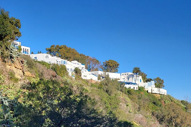 2 Hours Shared Walking Tour of Sidi Bou Said - Tips for Participants