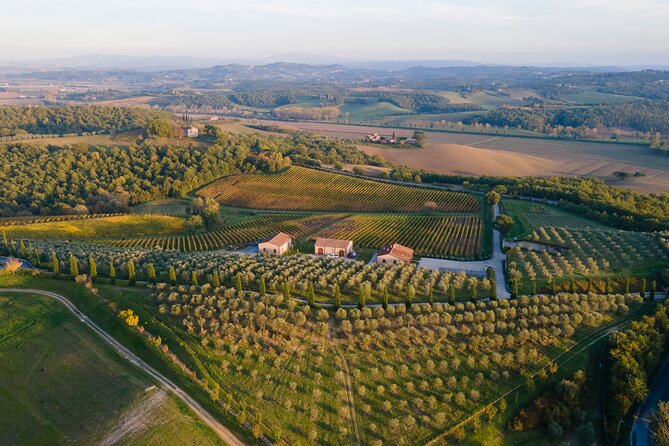 2 Hours Visit and Wine Tasting With Tastings in Val DORCIA - Highlights of the Tour