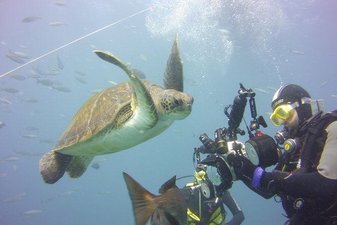 2x Diving Package, on Request Including Refreshment - Diving Gear Rental