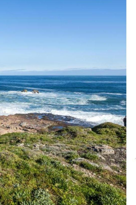 3 Day Garden Route Private Safari From Cape Town - Outdoor Experiences