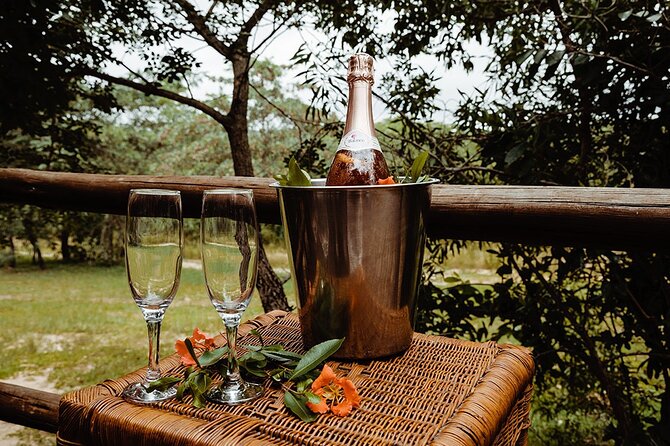 3 Day Luxury Tented Kruger Safari From Johannesburg - Positive Traveler Experiences