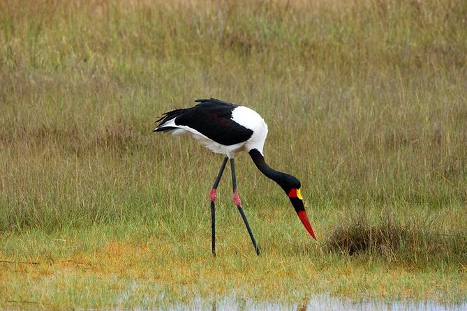 3-Day Moremi Game Reserve- by Walking Stick Safaris - Frequently Asked Questions