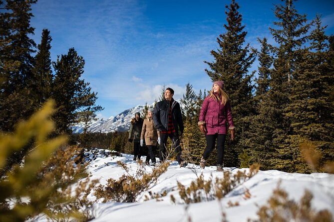 3-Day Rockies Express Tour Package: Banff, Lake Louise and Yoho - Traveler Feedback
