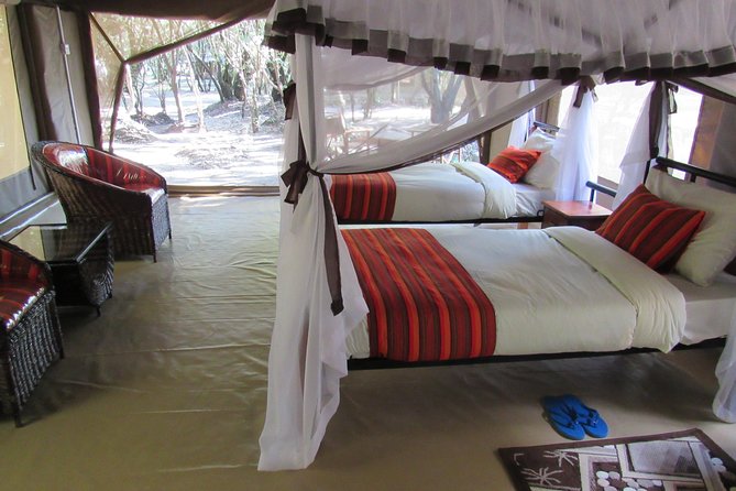 3 Days 2 Nights Masai Mara Best Short Tour - Guest Reviews and Feedback
