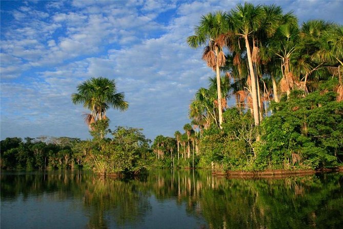 3 Days 2 Nights – Peruvian Tambopata Jungle - Guide Services and Language
