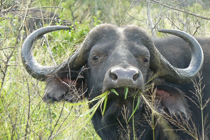 3 Days Durban Safari Tour Package - Cancellation Policy