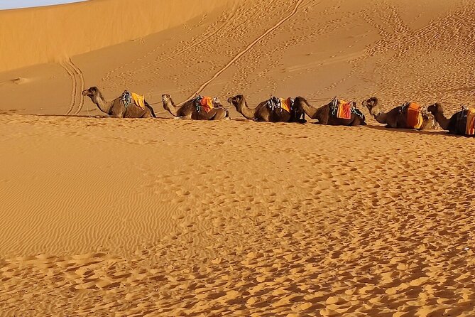 3 Days Luxury Desert Tour From Fes To Marrakech via Merzouga - Accessibility Features