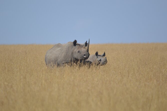3-Days Masai Mara Rhythms Safari - Frequently Asked Questions