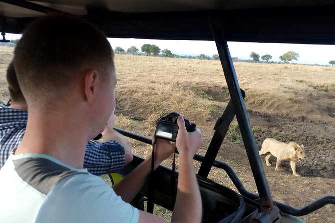 3 Days Safari to Mikumi NP - Accommodation Inside the Park - Inclusions, Exclusions, and Pricing