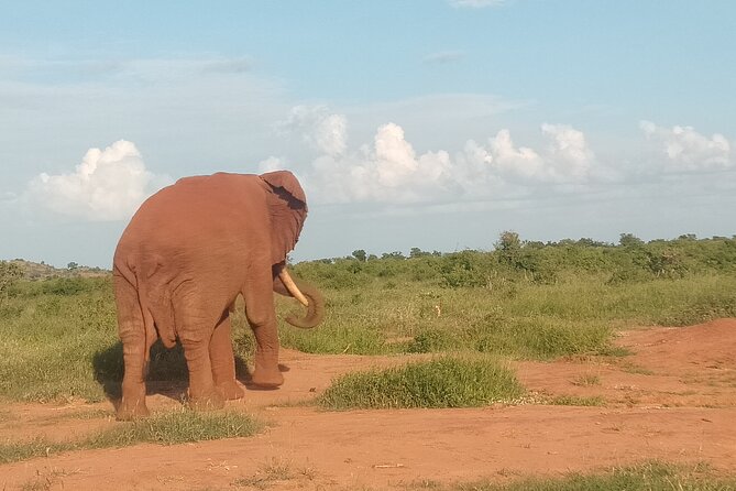 3 Days Safari Tsavo East and Amboseli National Park. - Booking and Cancellation Policy