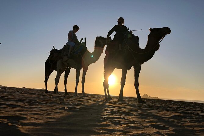 3-Hour Camel Ride at Sunset - Booking Information