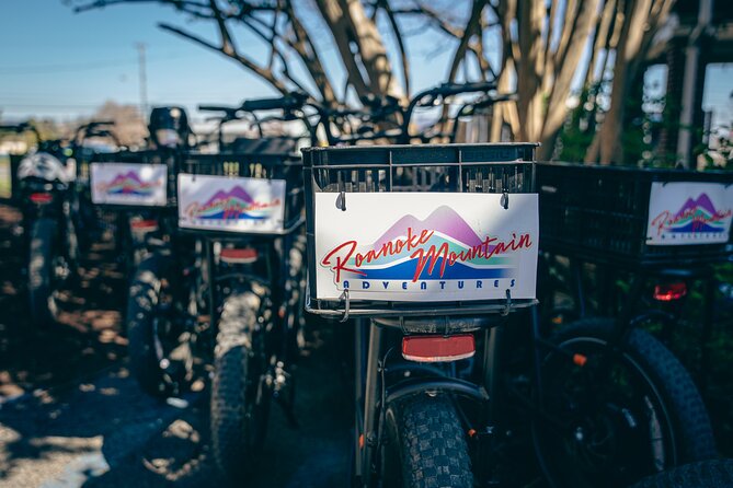 3-Hour E-Bike Sightseeing and Breweries Tour in Roanoke - Traveler Feedback
