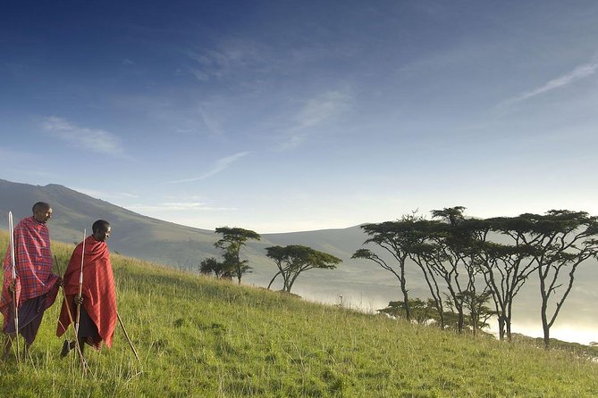 4 Day: Astonishing Group Safari - Accommodation and Amenities