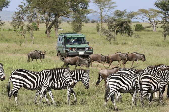 4-Day Budget Tarangire, Serengeti, Ngorongoro Safari Guided Tour - Tour Inclusions and Exclusions