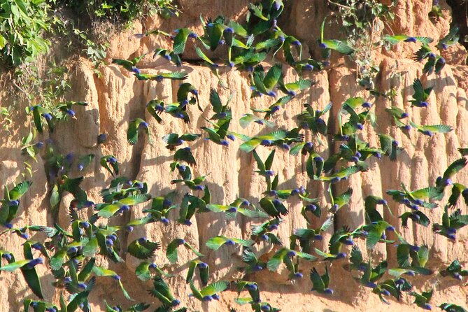 4-Day Private Tour to Manu National Park From Cusco - Accessibility and Comfort