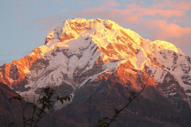 4-Day Private Trekking Experience To Poon Hill and Ghandruk - Reviews and Feedback