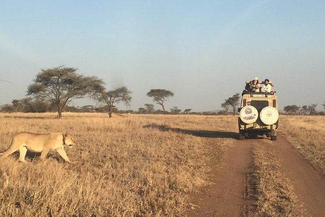 4 Days, 3 Nights Group Budget Safari, Lake Manyara, Serengeti, Ngorongoro - Important Considerations