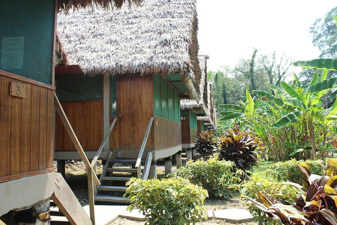 4 Days 3 Nights – Peruvian Tambopata Jungle - Feedback and Reviews