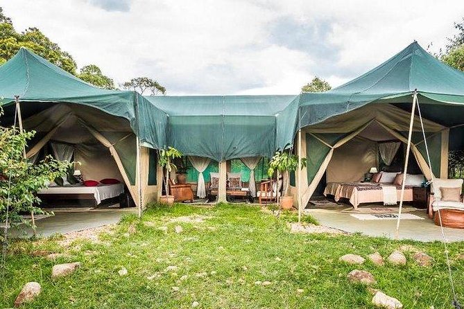 4 Days Maasai Mara-Nakuru Mid-Range - Guest Reviews