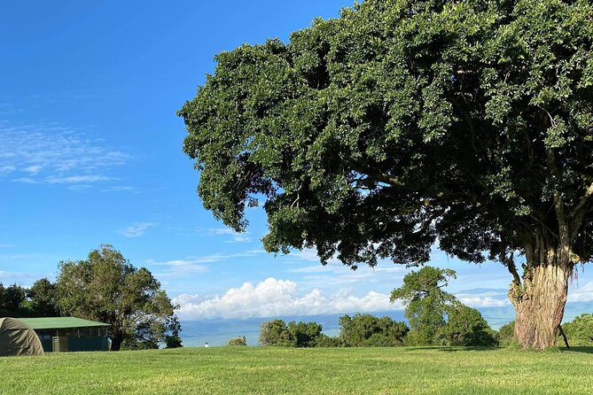 4 Days Safari Tour Tanzania - Inclusions and Pricing