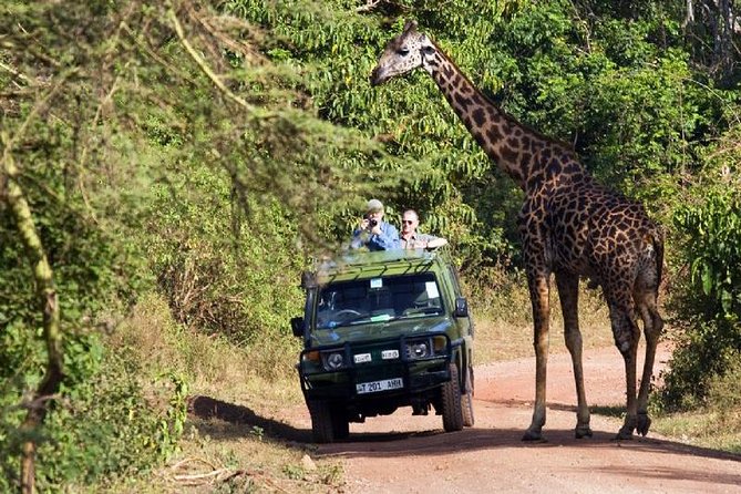 4 Days Tarangire Serengeti Ngorongoro Crater - Inclusions and Logistics