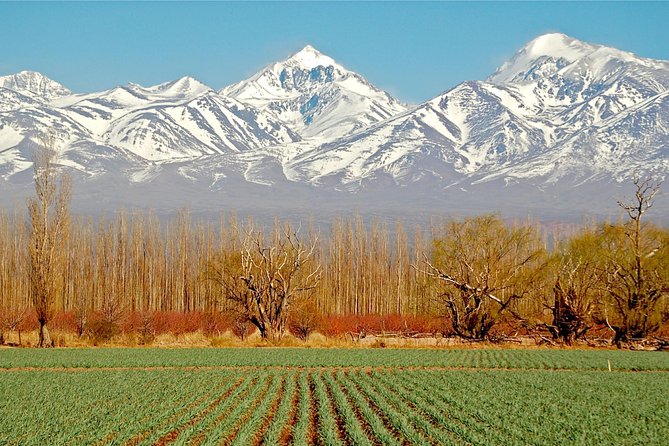 4-Days Trip to Mendoza and The Andes - Tour Booking and Cancellation