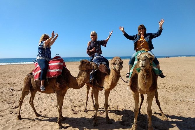 4 Hour Tangier City Private Tour - Booking Details